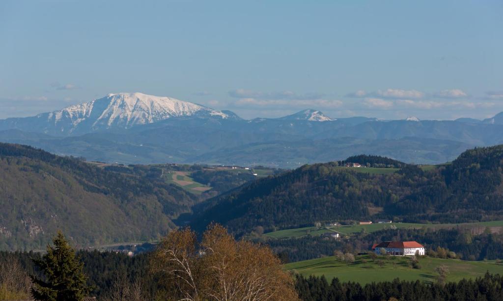 Gasthof Schiefer Zur Zugbruecke Kreuzen  部屋 写真